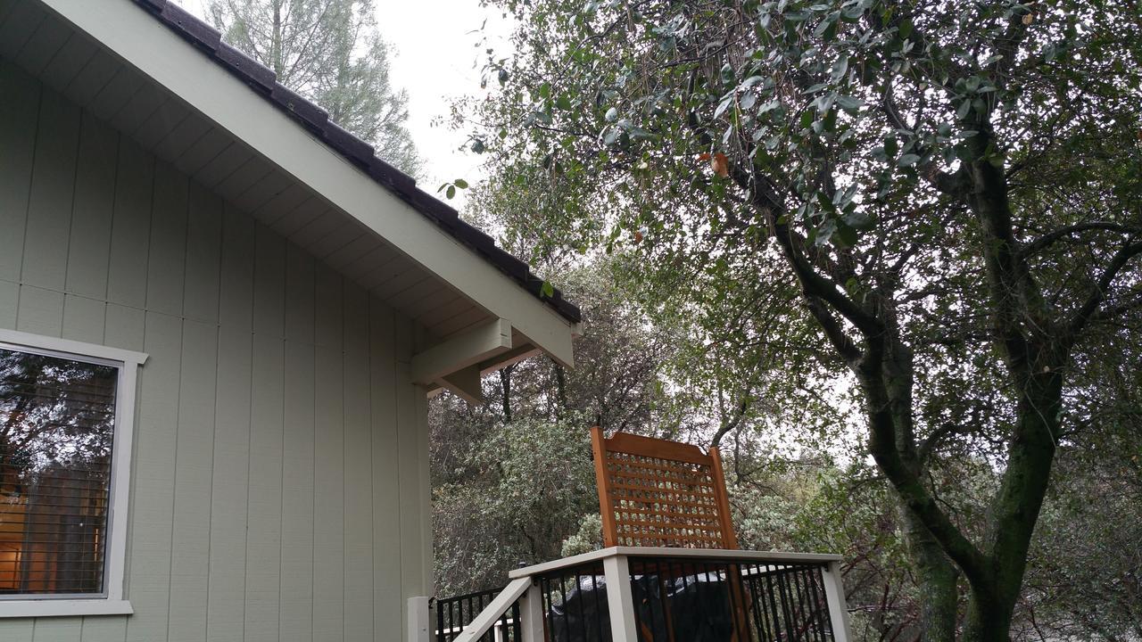 Lovely Mountain Lake Chalet By Yosemite: Equipped! Groveland Esterno foto